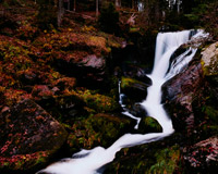 手机号轰炸在线