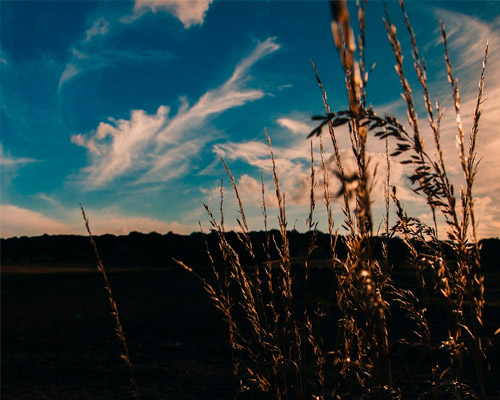 短信压力测试平台
