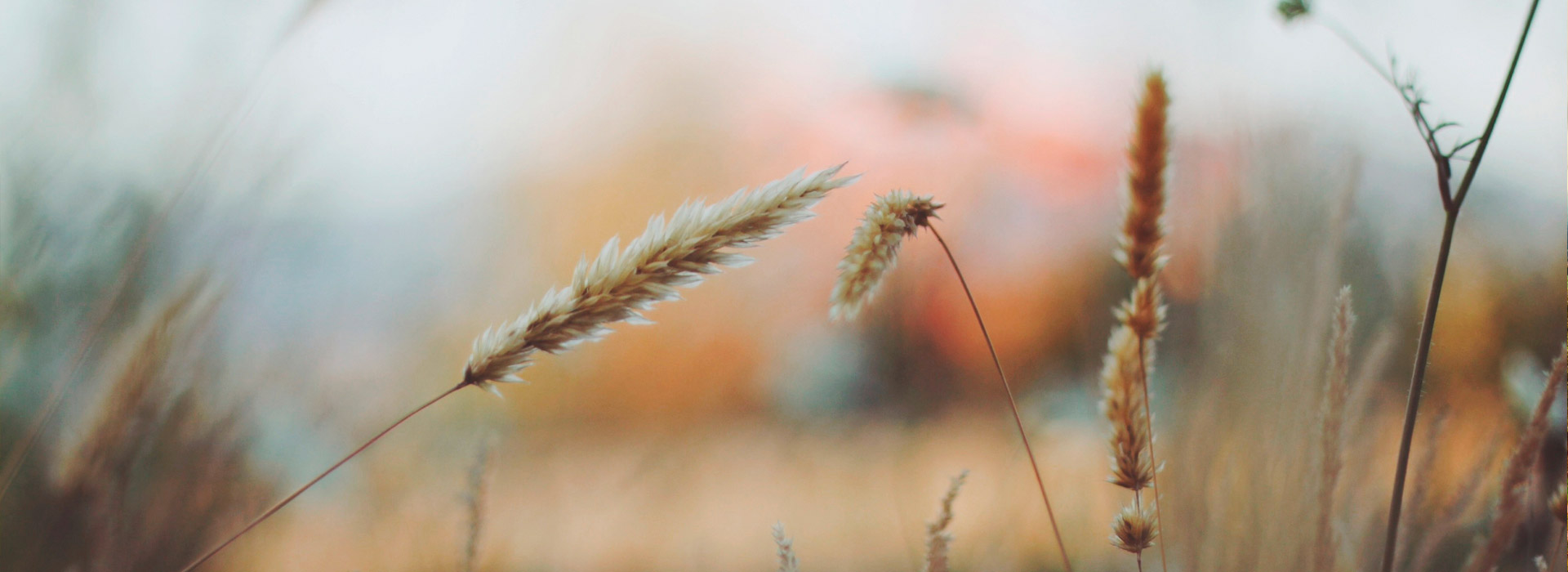 高性价比商用的手机号压测网站
