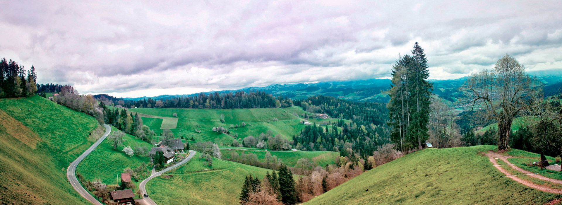 电话轰在线轰炸